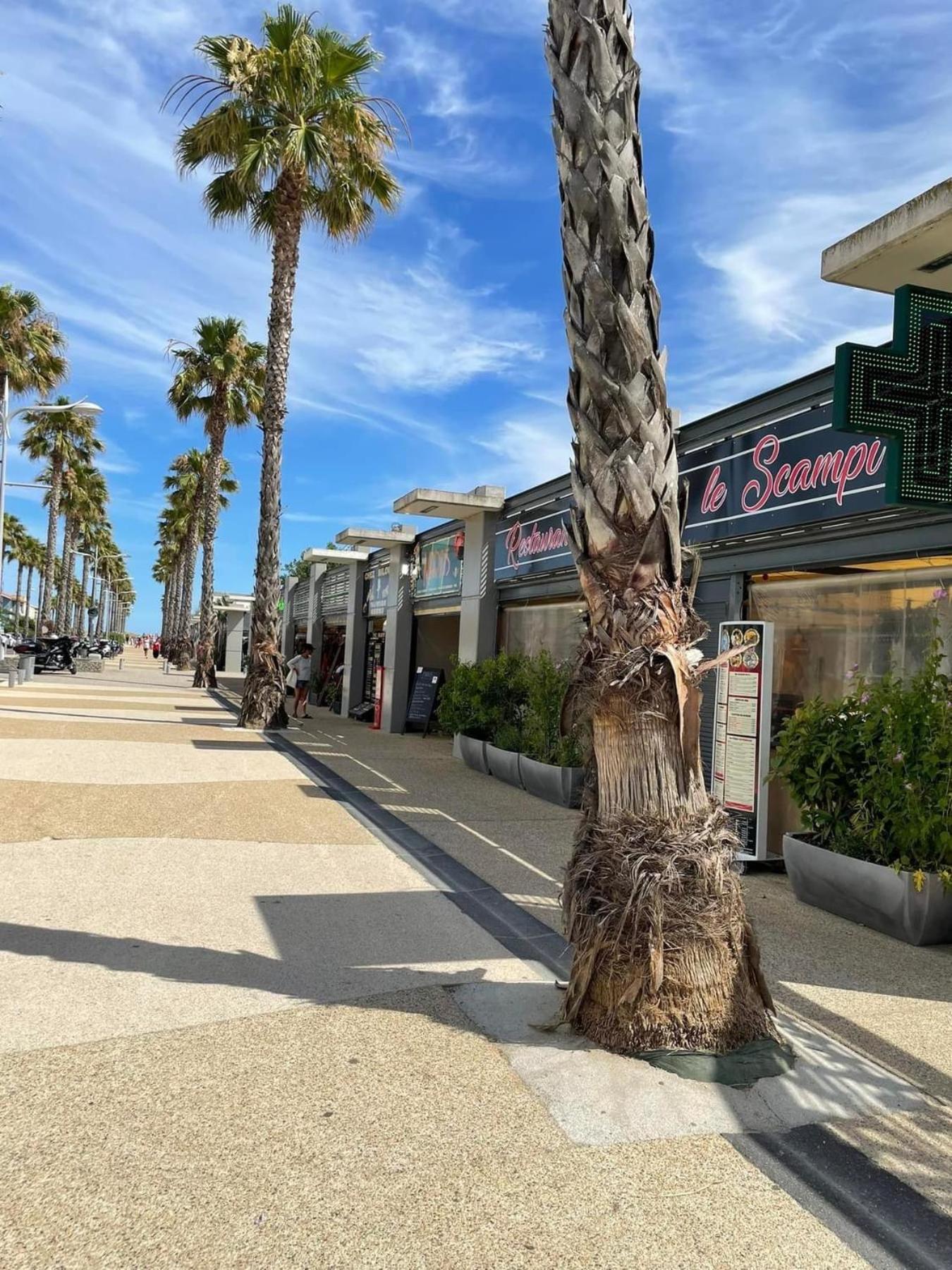 Le Petit Bora-Marseillan Plage -Residence Bora Bora-400M Plage D'Honneur 외부 사진